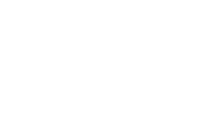 Nettl Partner